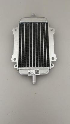 Vespa GT / GTS 125 200 250 300 310 için Orijinal Su Soğutucu Radyatör resmi