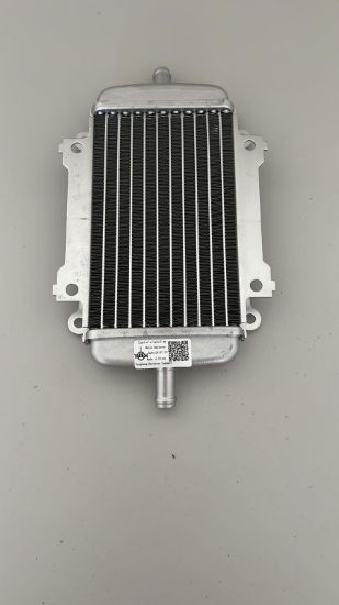 Vespa GT / GTS 125 200 250 300 310 için Orijinal Su Soğutucu Radyatör resmi